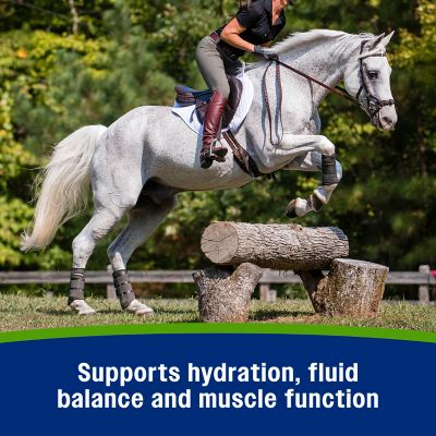 Image showing  Elite Electrolyte Apple Pellets, 7.5 lb., 100544844