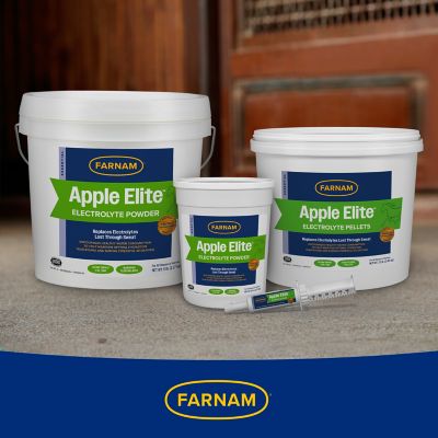 Image showing 8 th Farnam Elite Electrolyte Apple Pellets, 7.5 lb., 100544844