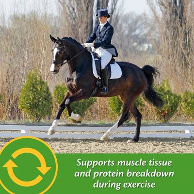 Image showing  Vita Plus Multi-Vitamin Horse Supplement, 30 Days, 3.75 lb.