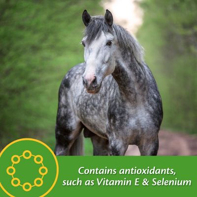 Image showing  Vita Plus Multi-Vitamin Horse Supplement, 30 Days, 3.75 lb.