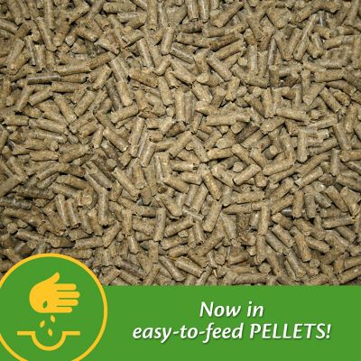 Image showing  Vita Plus Multi-Vitamin Horse Supplement, 30 Days, 3.75 lb.