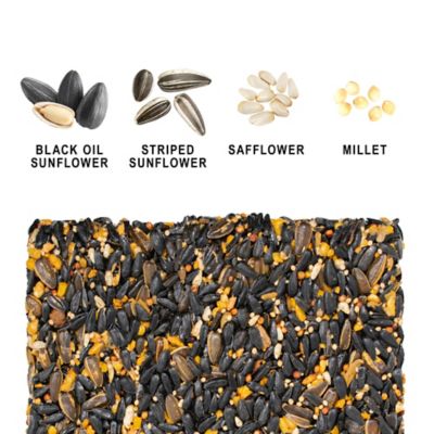 Image showing  Spicy Seed Cake Wild Bird Food, 22 oz.