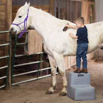 Image showing  2-Step Heavy-Duty Pet Grooming/Mounting Block, Grey