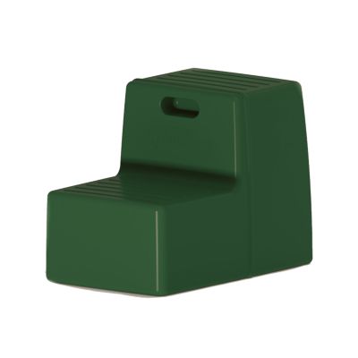 Century 2-Step Heavy-Duty Pet Grooming/Mounting Block, Green