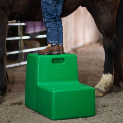 Image showing  2-Step Heavy-Duty Pet Grooming/Mounting Block, Green