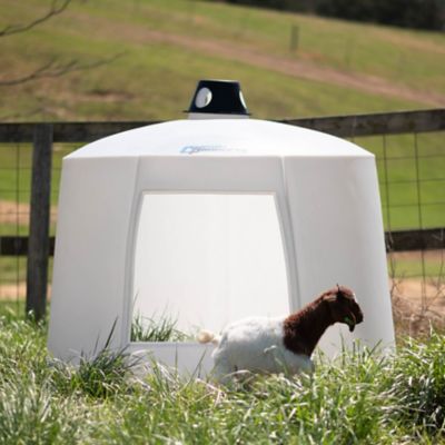 Image showing  6 ft. x 5 ft. Small Animal Hut