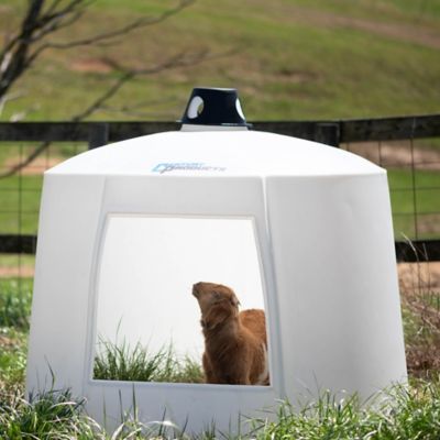 Image showing 5 th Century 6 x 5ft. Small Animal Hut