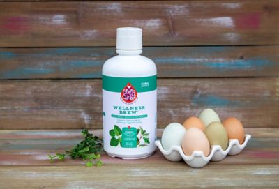 Image showing  Wellness Brew Daily Water Additive for Poultry, 32 oz.