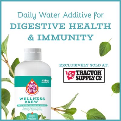 Image showing  Wellness Brew Daily Water Additive for Poultry, 32 oz.