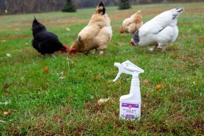 Image showing  Wound Spray Flock Aid, 8 oz.