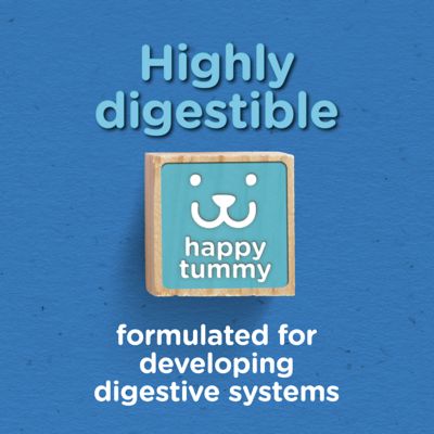 Image showing 6 th Purina Puppy Chow High Protein Dry Puppy Food, Complete With Real Chicken