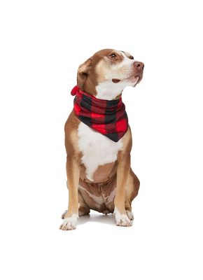 Holiday Famjams Pet Bandana