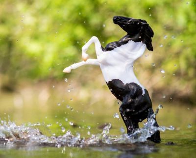 Image showing  Freedom Series Black Pinto Mustang Horse, 1/12 Scale