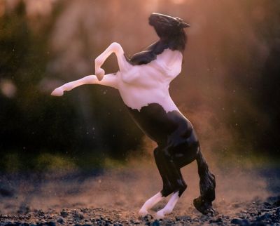 Image showing  Freedom Series Black Pinto Mustang Horse, 1/12 Scale