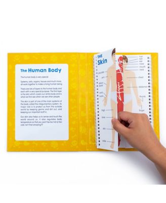 Junior Learning Anatomy Flips Educational Learning Set, Educational Flip Book