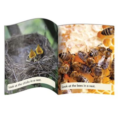 Image showing  Letters and Sounds Phase 4 Set 2 Non-Fiction Educational Learning Set, Life Science