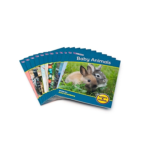Junior Learning Letters and Sounds Phase 1 Set 2 Non-Fiction Educational Learning Set