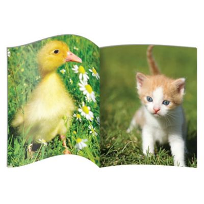 Image showing  Letters and Sounds Phase 1 Set 2 Non-Fiction Educational Learning Set