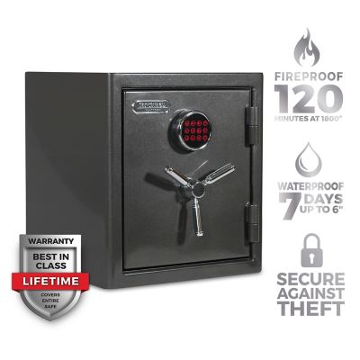Sanctuary Platinum 1.96 cu. ft. Fireproof/Waterproof Home & Office Safe with Electronic Lock, Dark Gray Metallic, SA-PLAT2-DP Sanctuary Platinum SA-PLAT2-DP Fireproof Safe