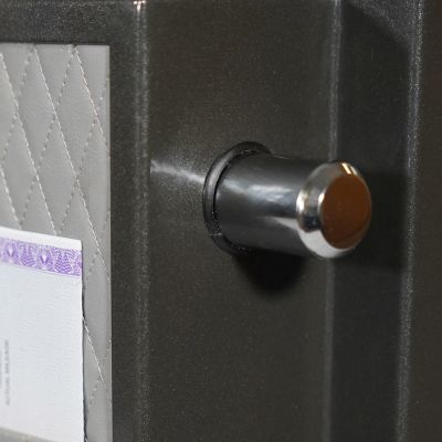 Image showing 5 th Sanctuary 1.96 cu. ft. Electronic Lock Platinum Fireproof/Waterproof Home and Office Safe, Dark Gray Metallic