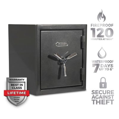 Sanctuary 1.96 cu. ft. Biometric Lock Platinum Fireproof/Waterproof Home and Office Safe, Dark Gray Metallic