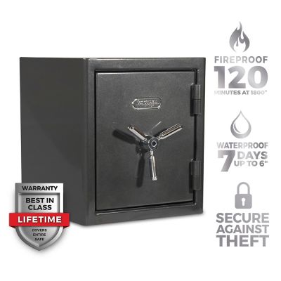 Sanctuary Platinum 1.96 cu. ft. Fireproof/Waterproof Home & Office Safe with Biometric Lock, Dark Gray Metallic, SA-PLAT2BIO-DP