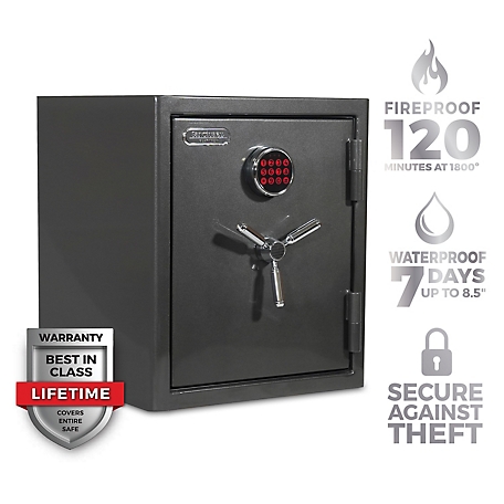 Sanctuary Platinum 3.32 cu. ft. Fireproof/Waterproof Home & Office Safe with Electronic Lock, Dark Gray Metallic, SA-PLAT3-DP