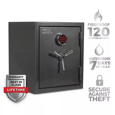 Sanctuary 3.32 cu Platinum Fireproof/Waterproof Electronic Lock for Home and Office Metallic Dark Gray Burglary & Fire Safes