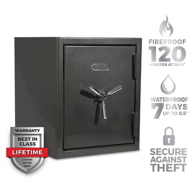 Sanctuary 3.32 cu. ft. Biometric Lock Platinum Fireproof/Waterproof Home and Office Safe, Dark Gray Metallic
