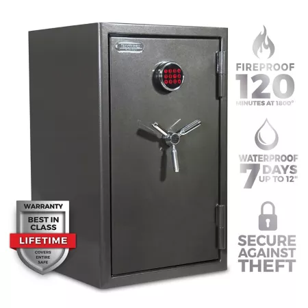 Sanctuary 4.98 cu Platinum Fireproof/Waterproof Electronic Lock for Home and Office Metallic Dark Gray Burglary & Fire Safes