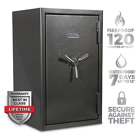 Sanctuary Platinum 4.98 cu. ft. Fireproof/Waterproof Home & Office Safe with Biometric Lock, Dark Gray Metallic, SA-PLAT4BIO-DP