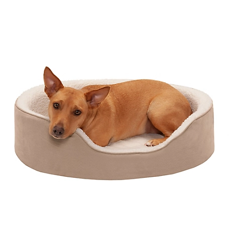 FurHaven Faux Sherpa and Suede Orthopedic Oval Dog Bed