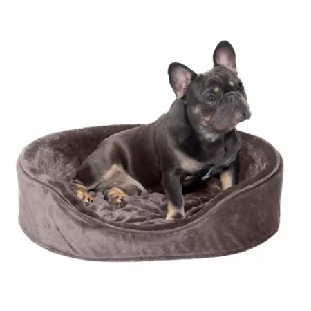 FurHaven Plush and Velvet Orthopedic Oval Dog Bed Orthopedic Dog Beds