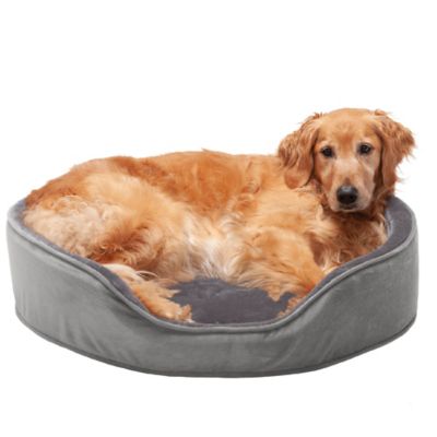 FurHaven Plush and Velvet Orthopedic Oval Dog Bed