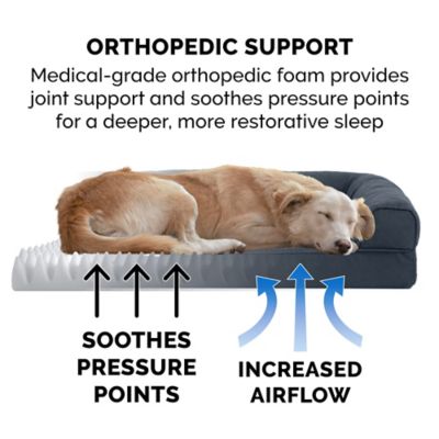 Image showing  Quilted Orthopedic Sofa Dog Bed