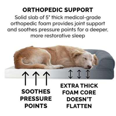 Image showing  Quilted Orthopedic Sofa Dog Bed