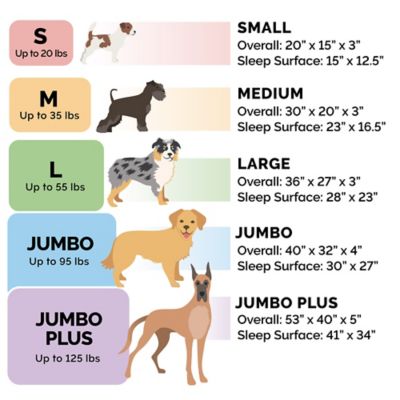 Image showing 6 th FurHaven Quilted Orthopedic Sofa Dog Bed