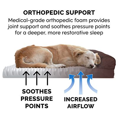 Image showing  Quilted Orthopedic Sofa Dog Bed