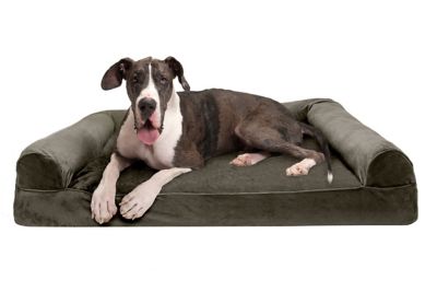 FurHaven Faux Fur & Velvet Memory Top Sofa Dog Bed Love this bed for my lab/Shephard mix who has juvenile arthritis