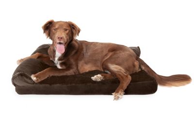 FurHaven Plush and Velvet Deluxe Chaise Lounge Cooling Gel Foam Sofa Dog Bed