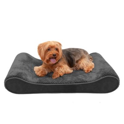 House and hound dog bed best sale