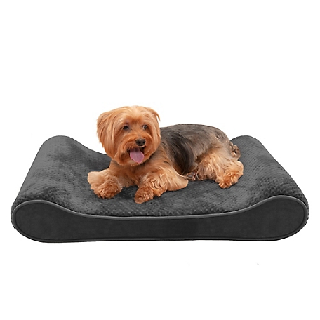 FurHaven Minky Plush and Velvet Luxe Lounger Memory Foam Dog Bed