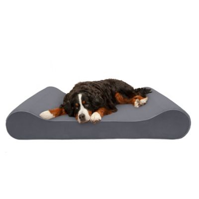 FurHaven Microvelvet Luxe Lounger Cooling Gel Foam Dog Bed