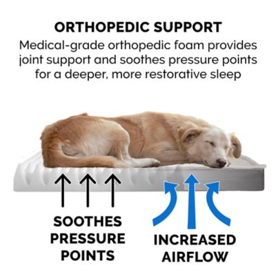 Image showing  Quilted Top Convertible Indoor/Outdoor Deluxe Orthopedic Dog Bed