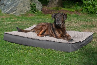 Image showing 1 th FurHaven Quilted Top Convertible Indoor/Outdoor Deluxe Memory Foam Dog Bed