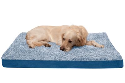 FurHaven Two Tone Faux Fur and Suede Deluxe Cooling Gel Foam Dog Bed at Tractor Supply Co