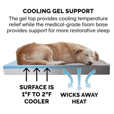 Image showing  Quilted Top Convertible Indoor/Outdoor Deluxe Cooling Gel Foam Dog Bed