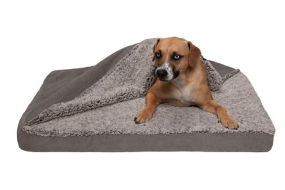 FurHaven Berber and Suede Blanket Top Memory Foam Mattress Dog Bed