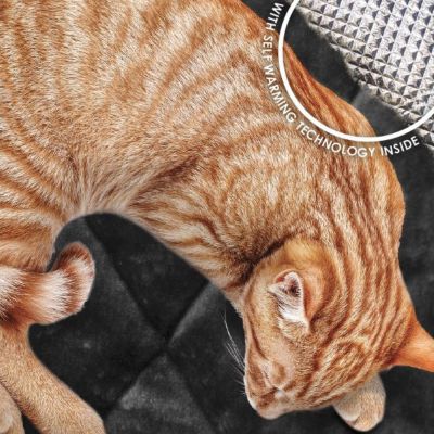 Image showing  ThermaNAP Faux Fur Self-Warming Pet Bed Mat