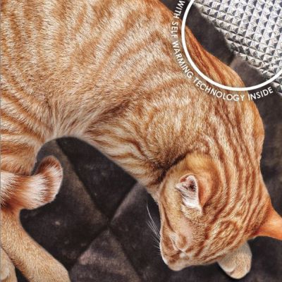 Image showing 3 th FurHaven ThermaNAP Faux Fur Self-Warming Pet Bed Mat